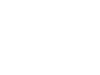 logo fiat